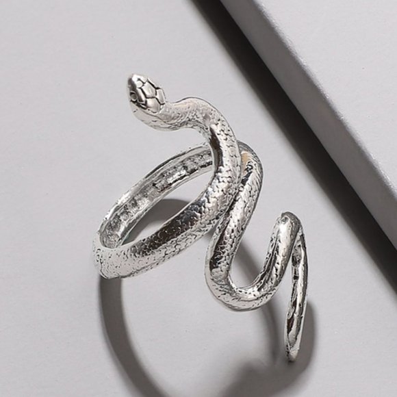 Silver Snake Cuff Ring Sexy Medusa Modern Punk Goth Rock Gift - Picture 1 of 3